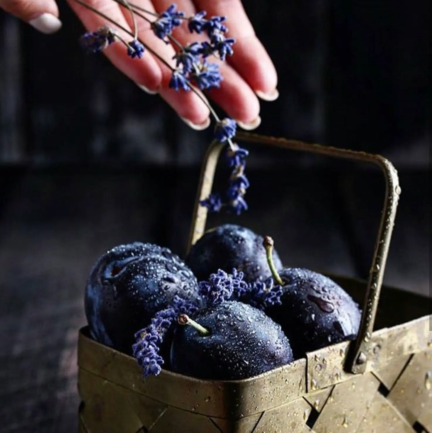 LABPERFUM Editorial de producto 3